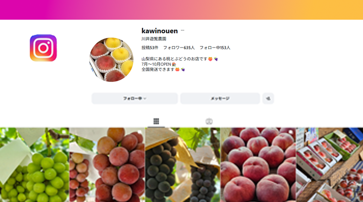 川井遊覧農園インスタ