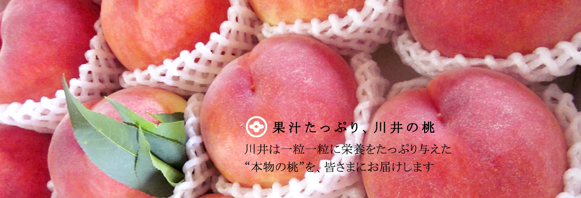 川井の果実・桃